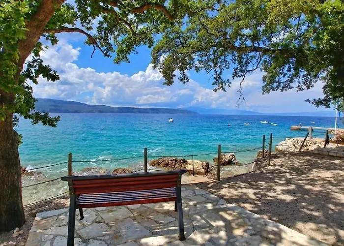 Beautiful New With A Pool Near - By Traveler Tourist Agency Krk Id 2410 Villa *