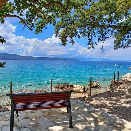 Beautiful New With A Pool Near - By Traveler Tourist Agency Krk Id 2410 Vila *