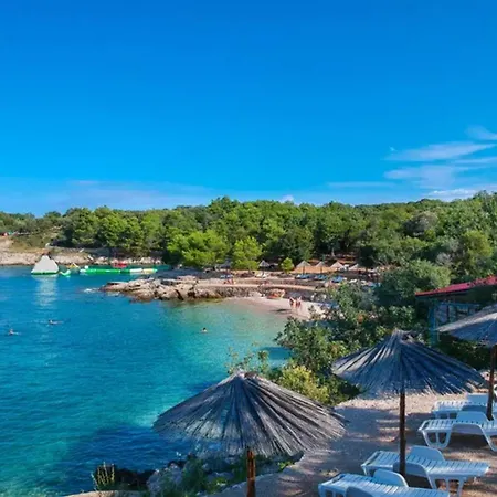 Beautiful New With A Pool Near - By Traveler Tourist Agency Krk Id 2410 Vila